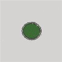 0040900130 Push Button, Green, Including Light